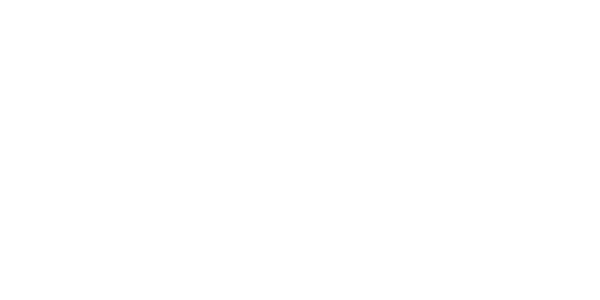 다이아몬드 넷 logo