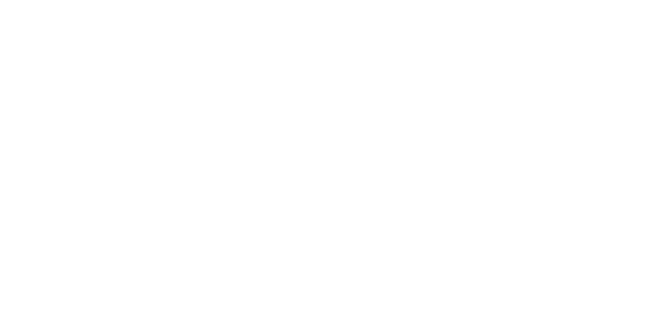 에이스 게이밍 logo